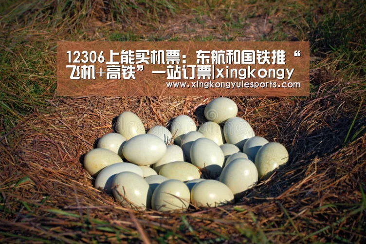 12306上能买机票:东航和国铁推“飞机+高铁”一站订票|xingkongyule(图4) 星空娱乐网址
