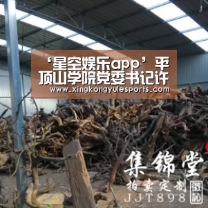 ‘星空娱乐app’平顶山学院党委书记许青云带队赴蚌埠学院学习考察(图1) 星空娱乐