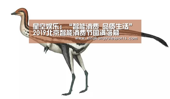星空娱乐:“智能消费 品质生活”2019北京智能消费节圆满落幕(图1) 星空娱乐app