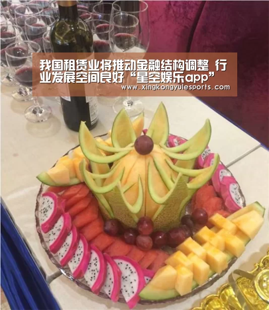 我国租赁业将推动金融结构调整 行业发展空间良好“星空娱乐app”(图3) 星空娱乐app