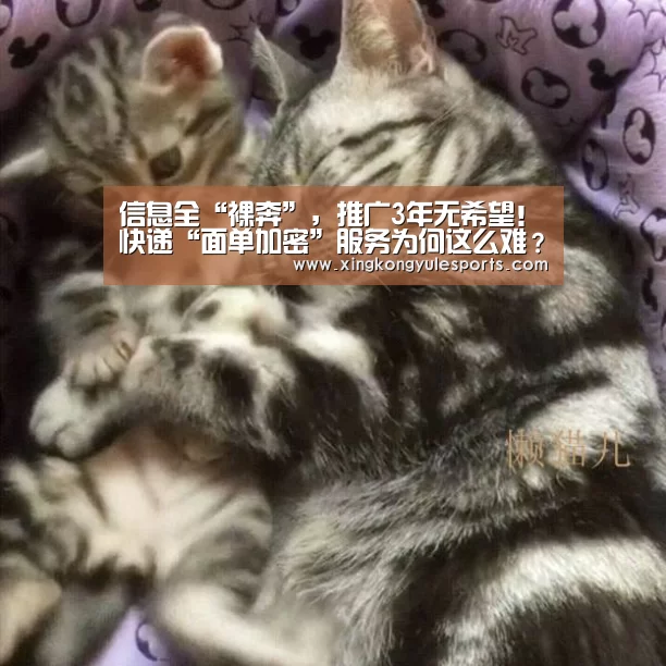 信息全“裸奔”,推广3年无希望!快递“面单加密”服务为何这么难?|星空娱乐网址(图1) 星空娱乐app