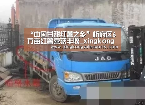 “中国甘甜红薯之乡”忻府区6万亩红薯喜获丰收_xingkongyule(图1) “中国甘甜红薯之乡”忻府区6万亩红薯喜获丰收_xingkongyule(图1)