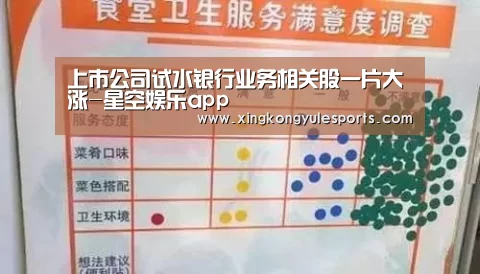 上市公司试水银行业务相关股一片大涨-星空娱乐app(图1) 星空娱乐网址