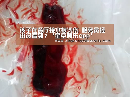 星空娱乐网址